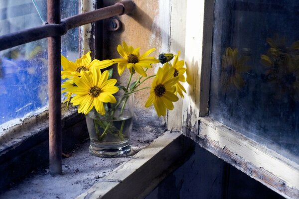 Żółte kwiaty na oknie z kratką