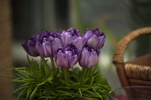 Photo de tulipes lilas en mise au point