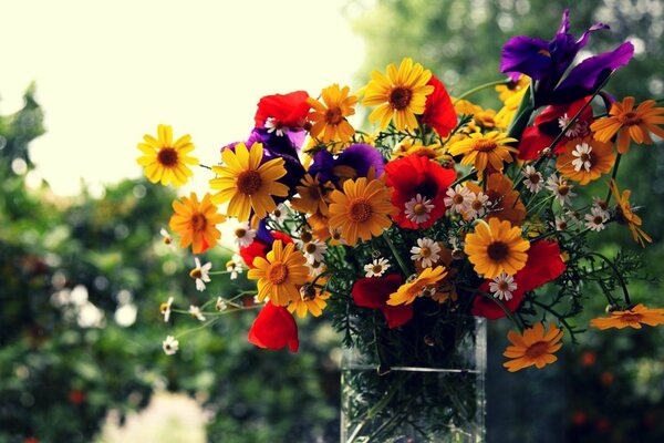 Bouquet d été multicolore dans un vase