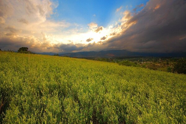 Tormenta inminente sobre el campo verde