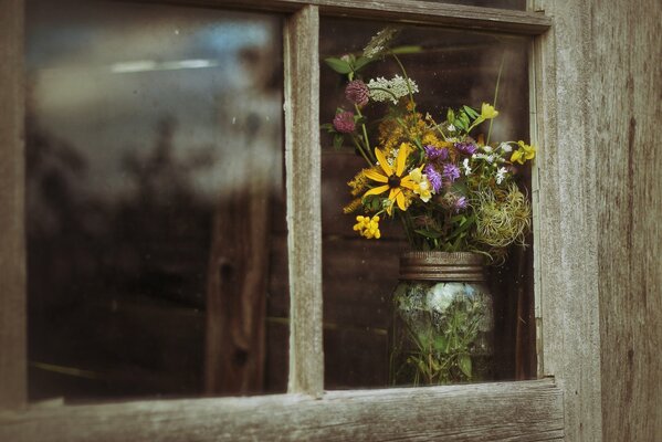 Flores en la ventana de fondo