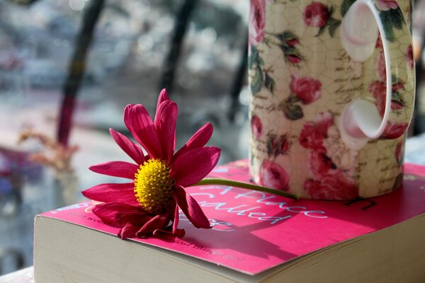 Fleur rose et tasse sur le livre