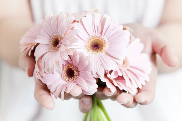 Give the girls tenderness and flowers