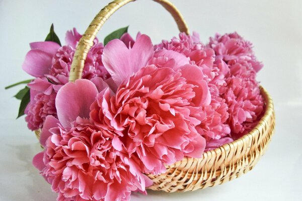 Bouquet of peonies in a straw basket