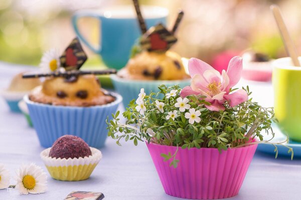 Moules à muffins et fleurs