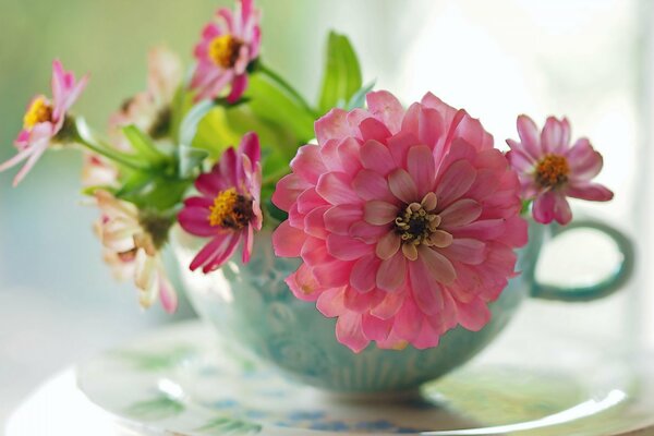 Delicate flowers in a blue cup on the table