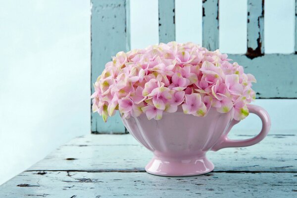 Taza florero rosa sobre fondo azul