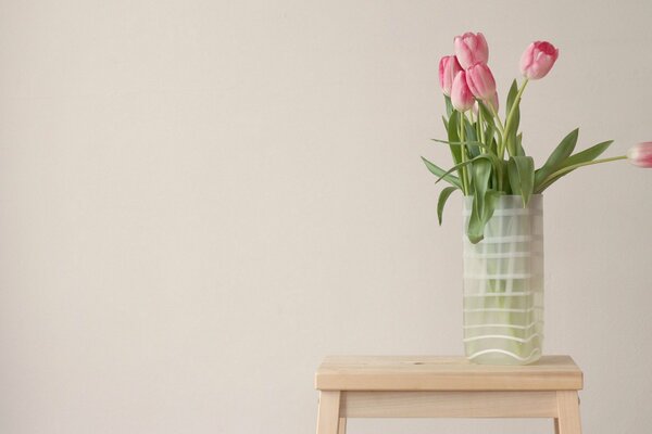 Tulips on a white background