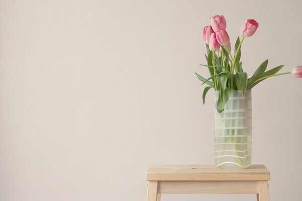 Tulipani su sfondo bianco