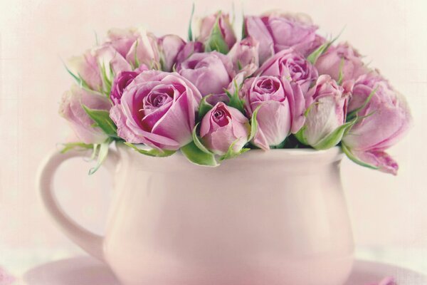 Bouquet of pink roses in a mug