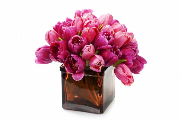 Bouquet of pink Tulips in a vase
