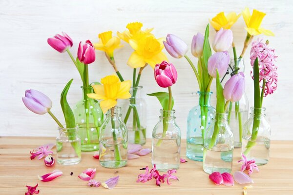 Jonquilles et tulipes dans une bouteille est un symbole du printemps et de la bonne humeur