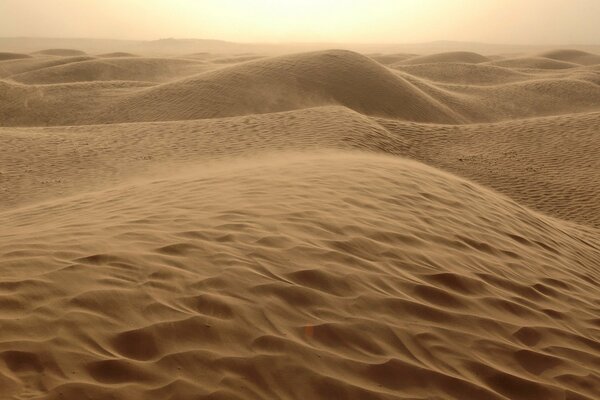 Vents de sable sur les barkhans du désert chaud