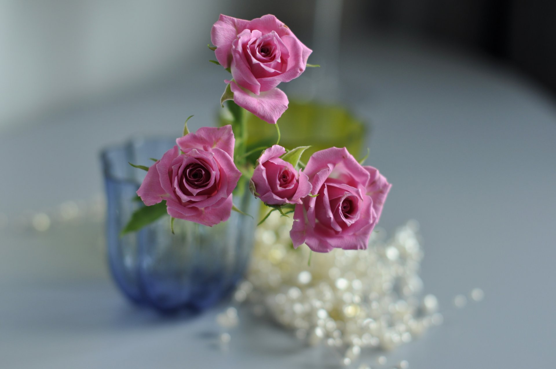 vase blumen rosen rosa