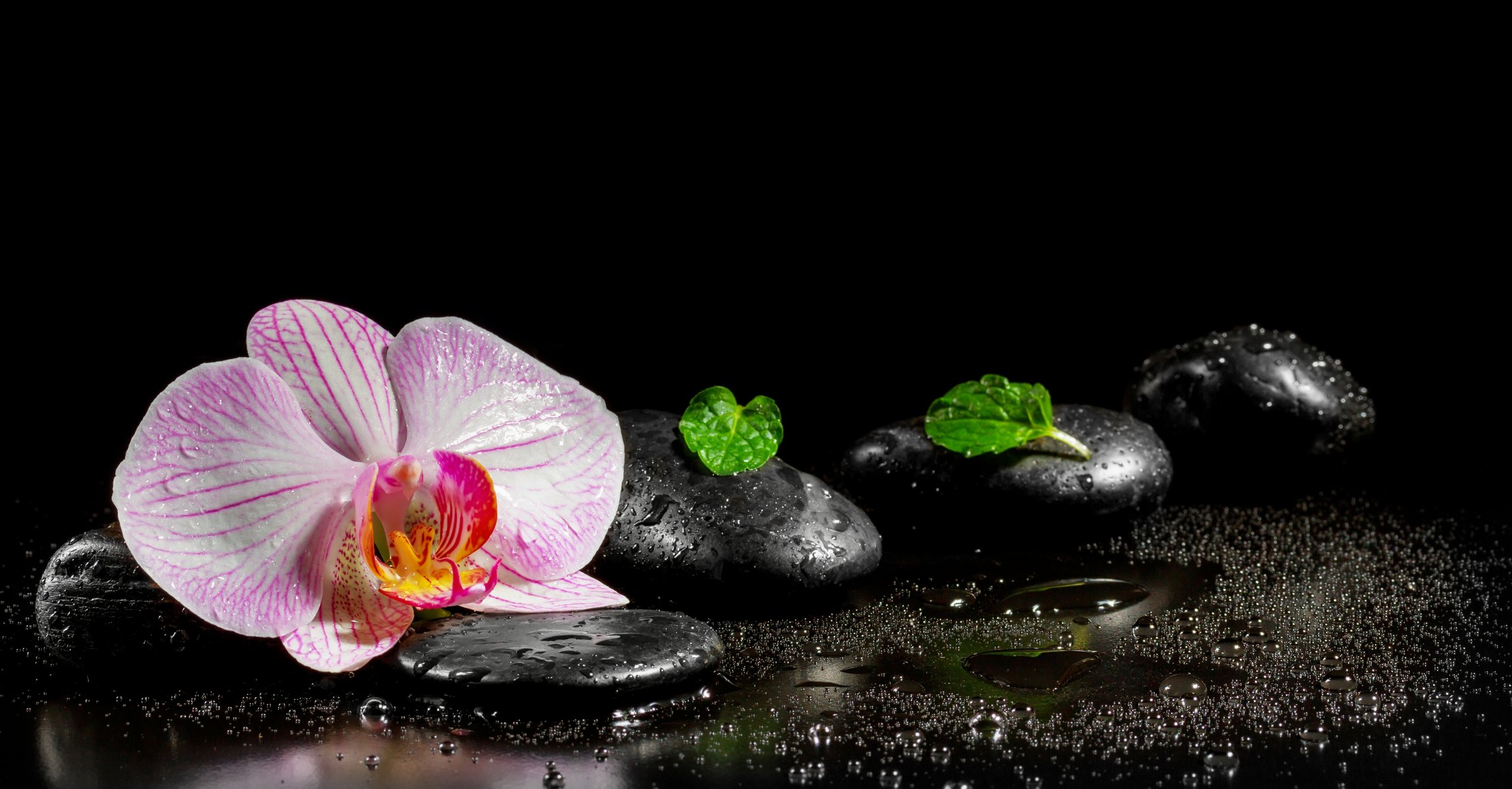 eau pierres de spa fleur orchidée feuilles
