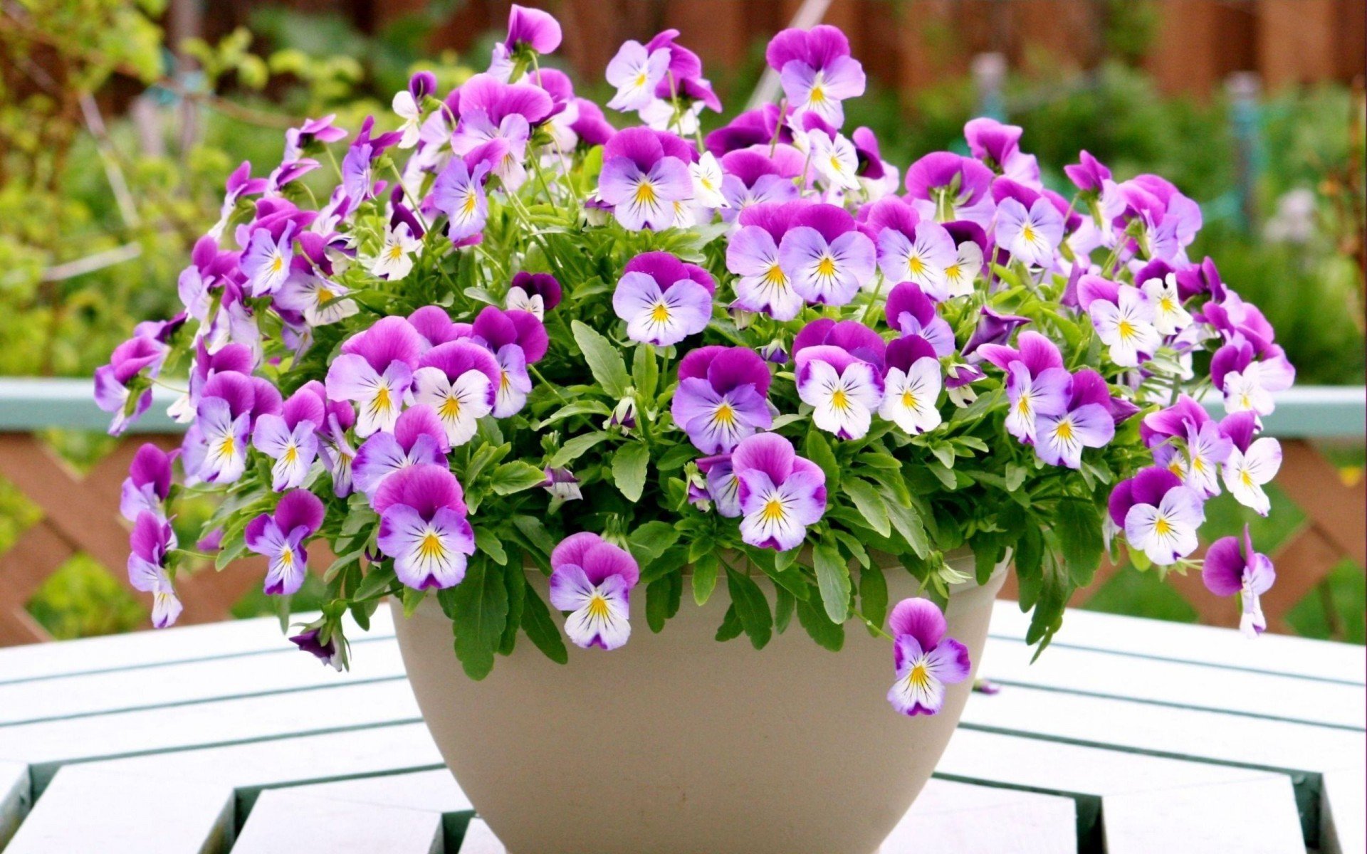pansy bouquet vase table supplie