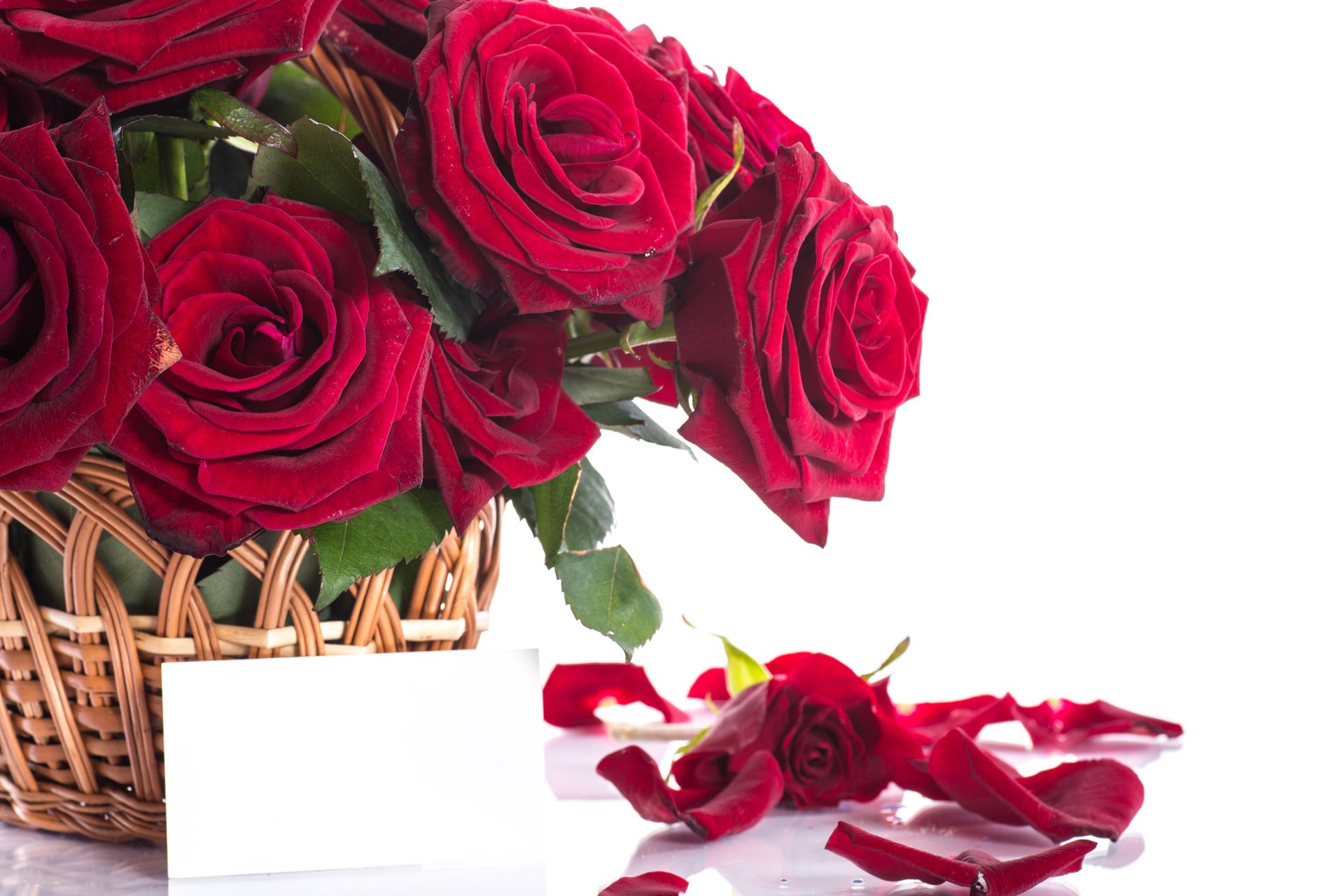 fleurs roses bouquet pétales rouge