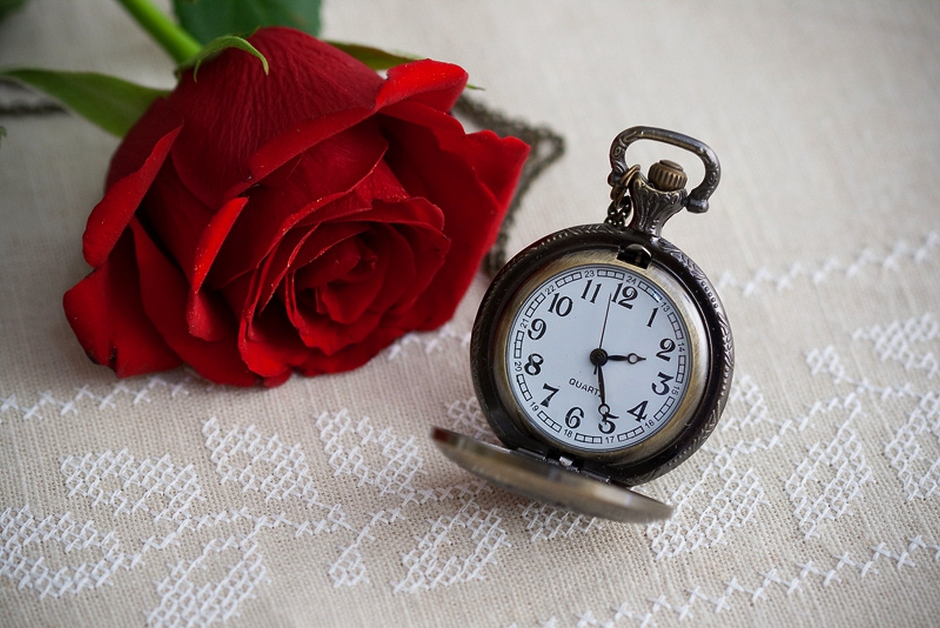 fiore rosa orologio tempo quadrante rosa tempi quadrante