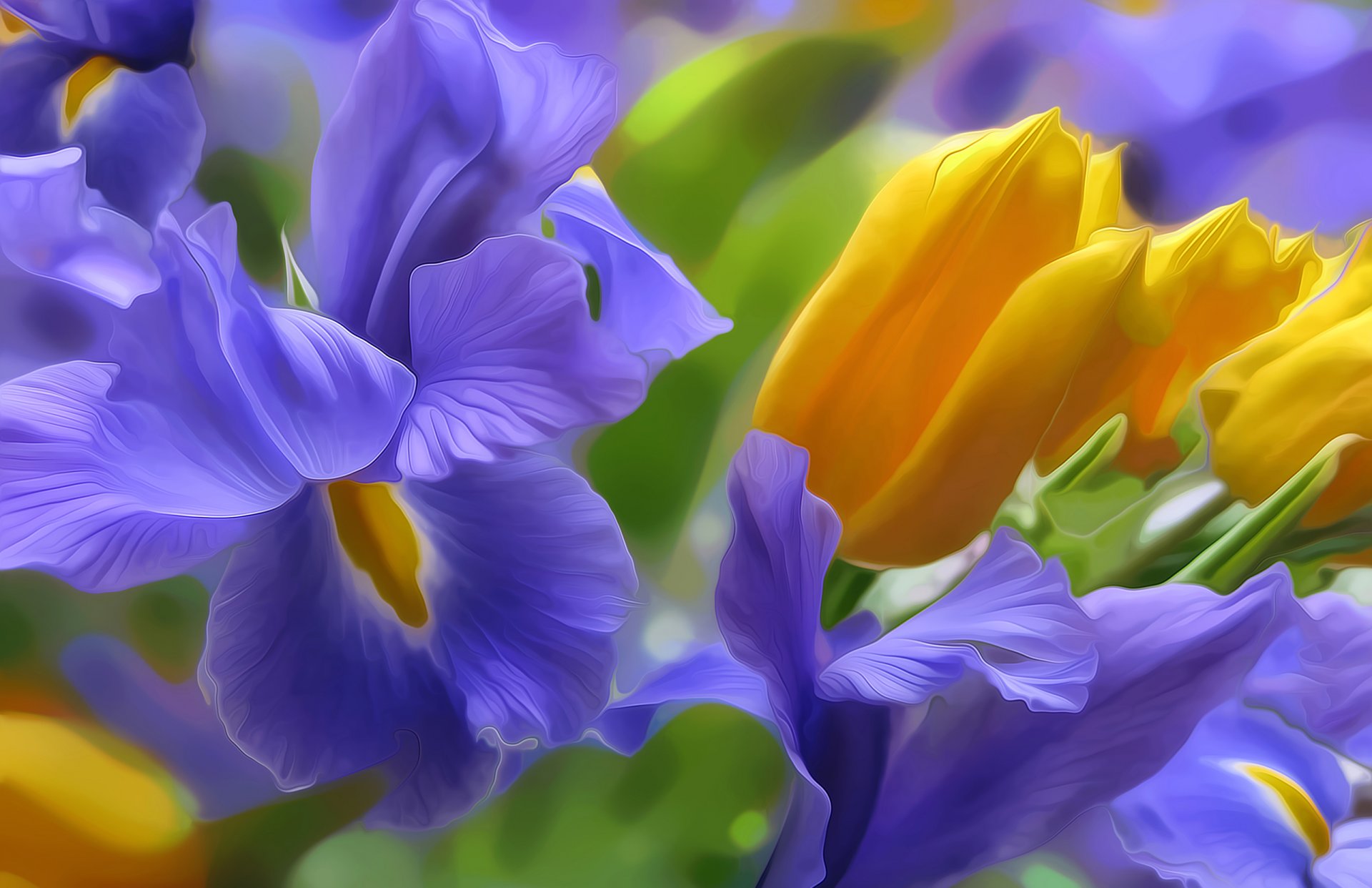 iris tulipe pétales lumière nature parterre de fleurs rendu dessin vecteur