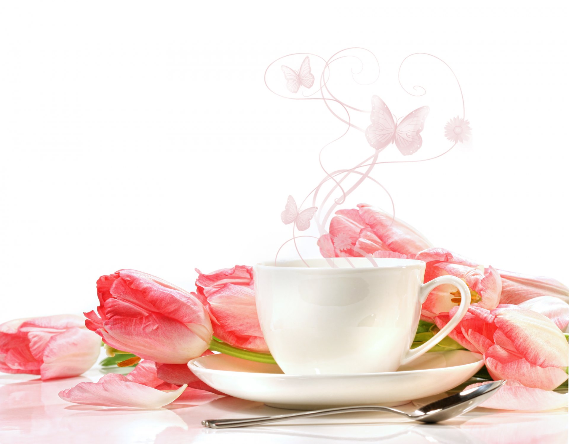 flower cups tulip