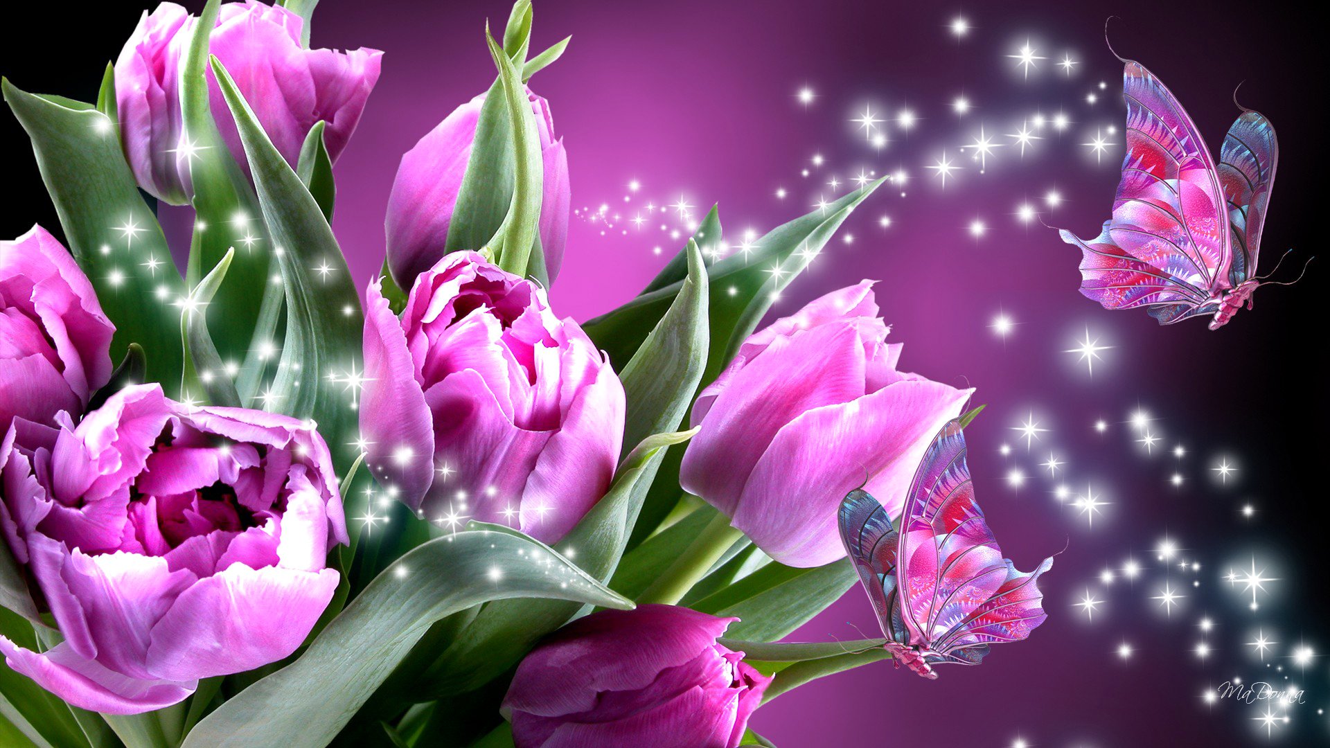 flowers tulips butterfly wings moth collage