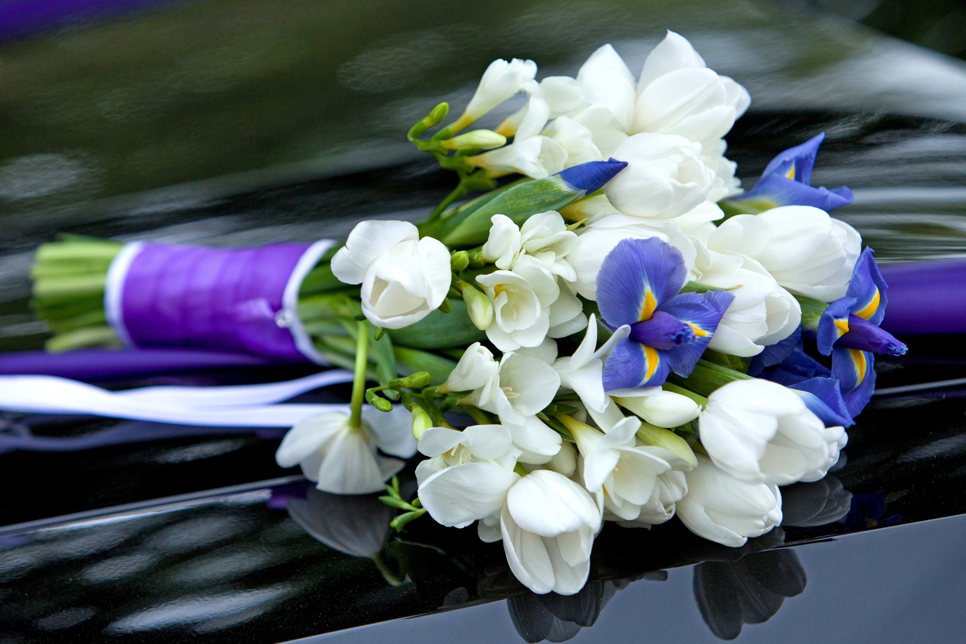 tulpen krokusse iris blumen weiß lila blumenstrauß