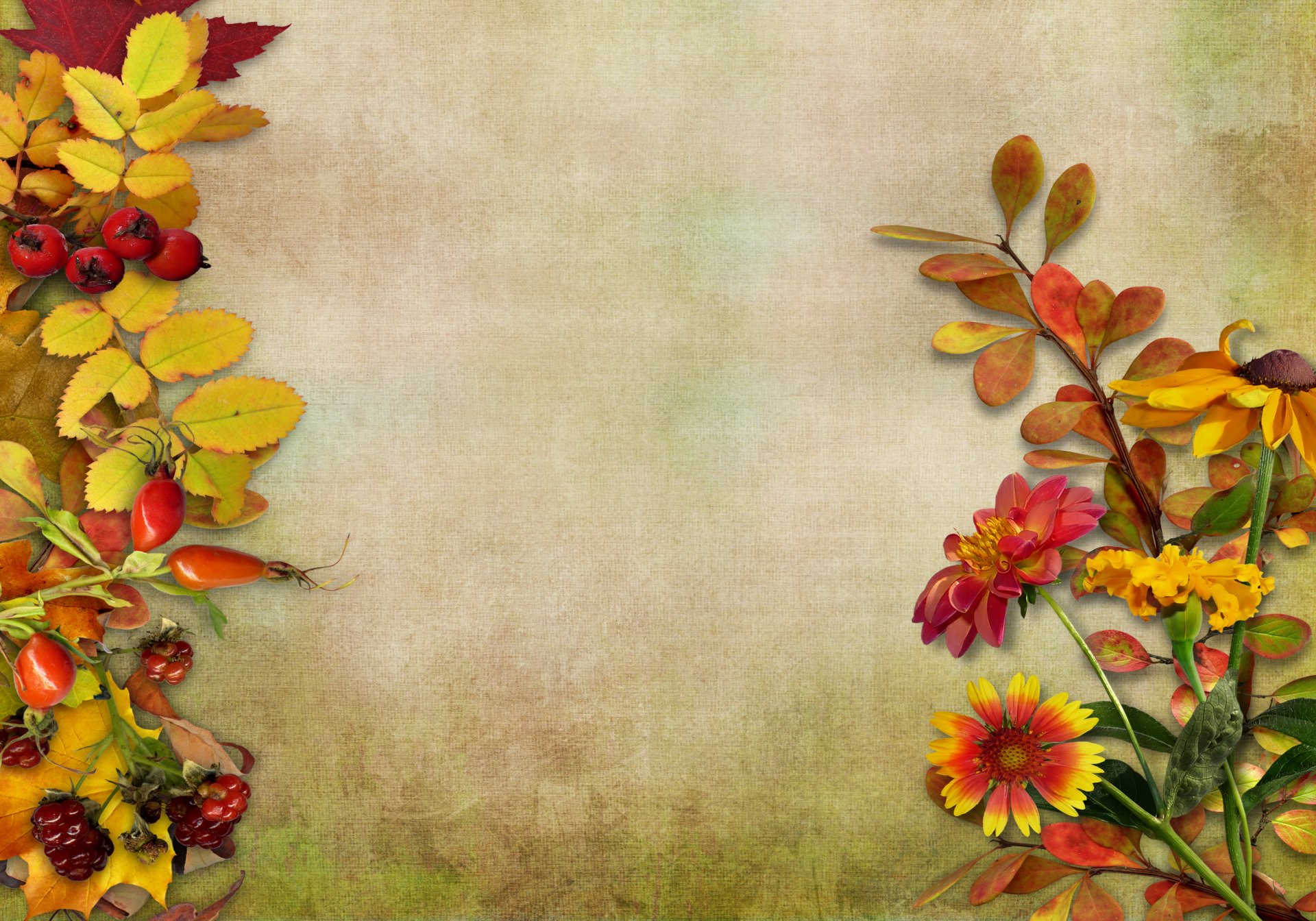 autumn vintage background leaves berries flower