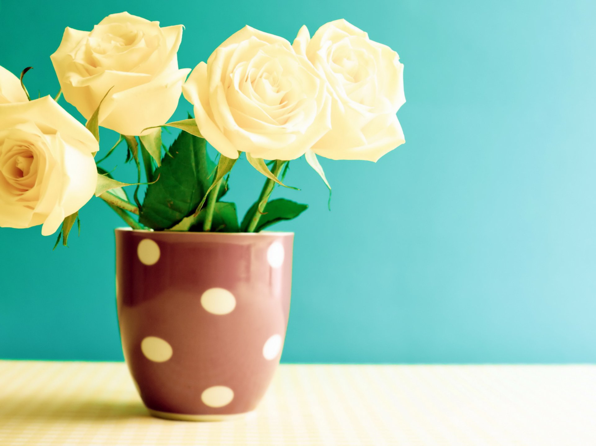 vintage roses fleurs vintage tasse table
