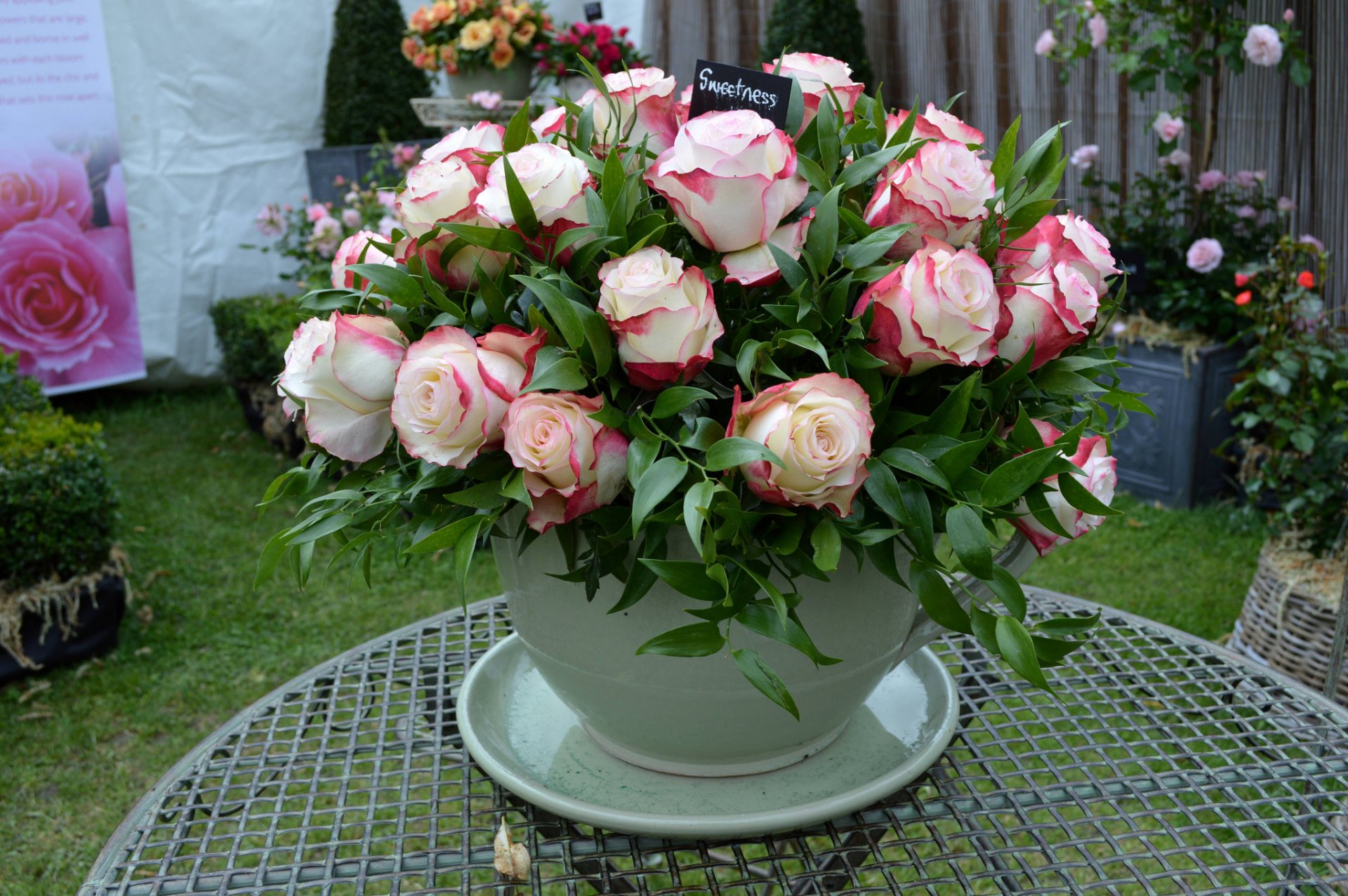 tasse blumen blumenstrauß rosen rose