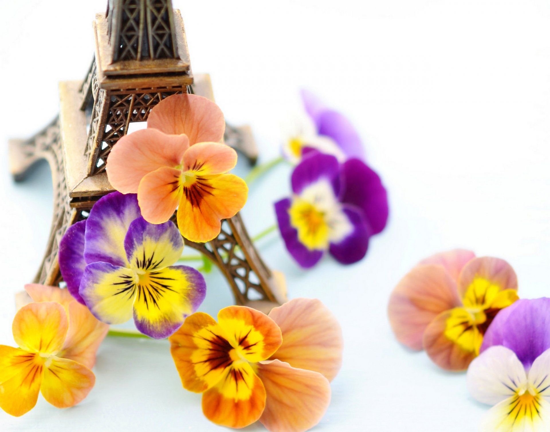 flores violetas estatuilla francia parís torre eiffel