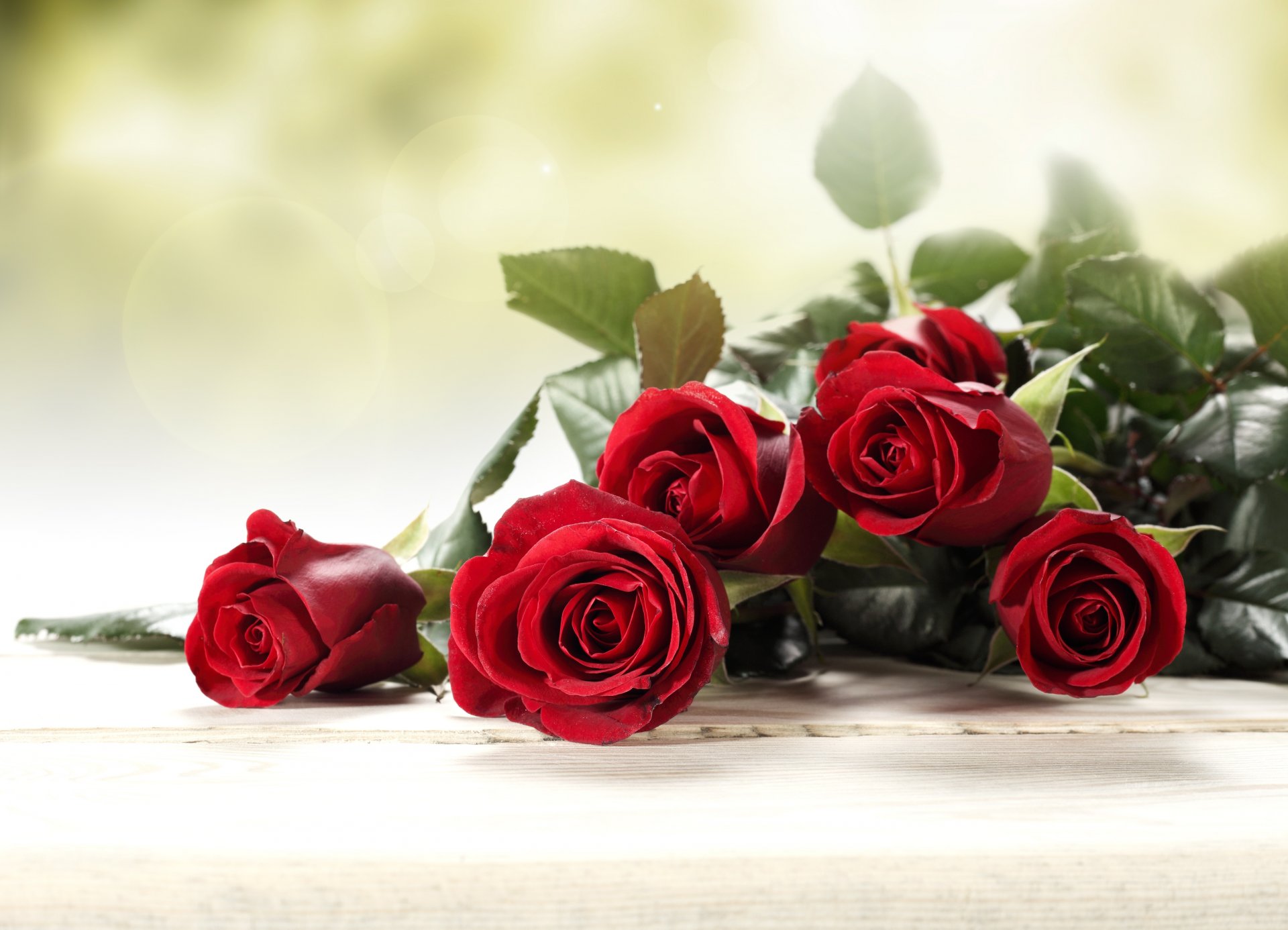 fleurs roses bourgeons feuilles bouquet