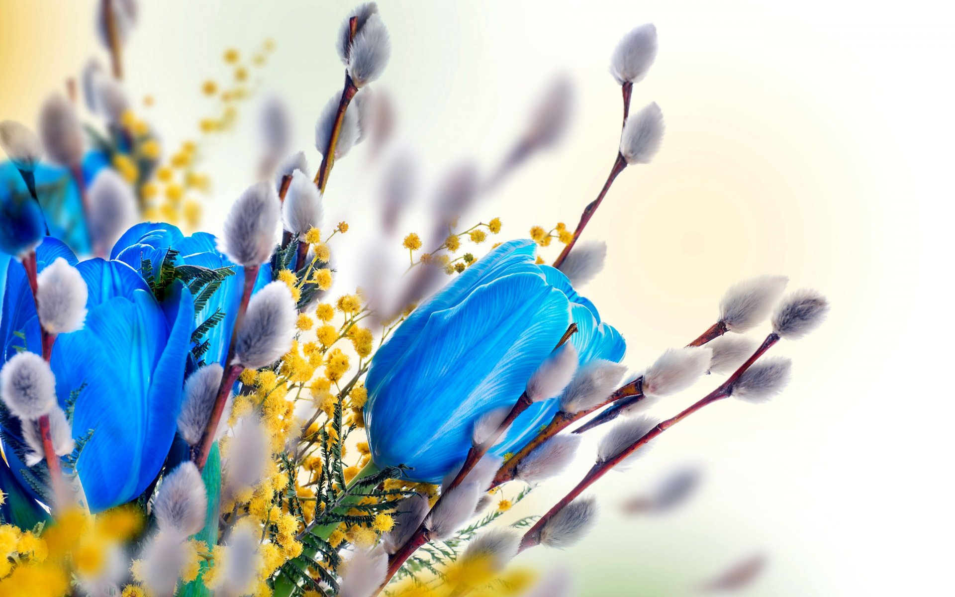 primavera ramo tulipán sauce mimosa renderizado