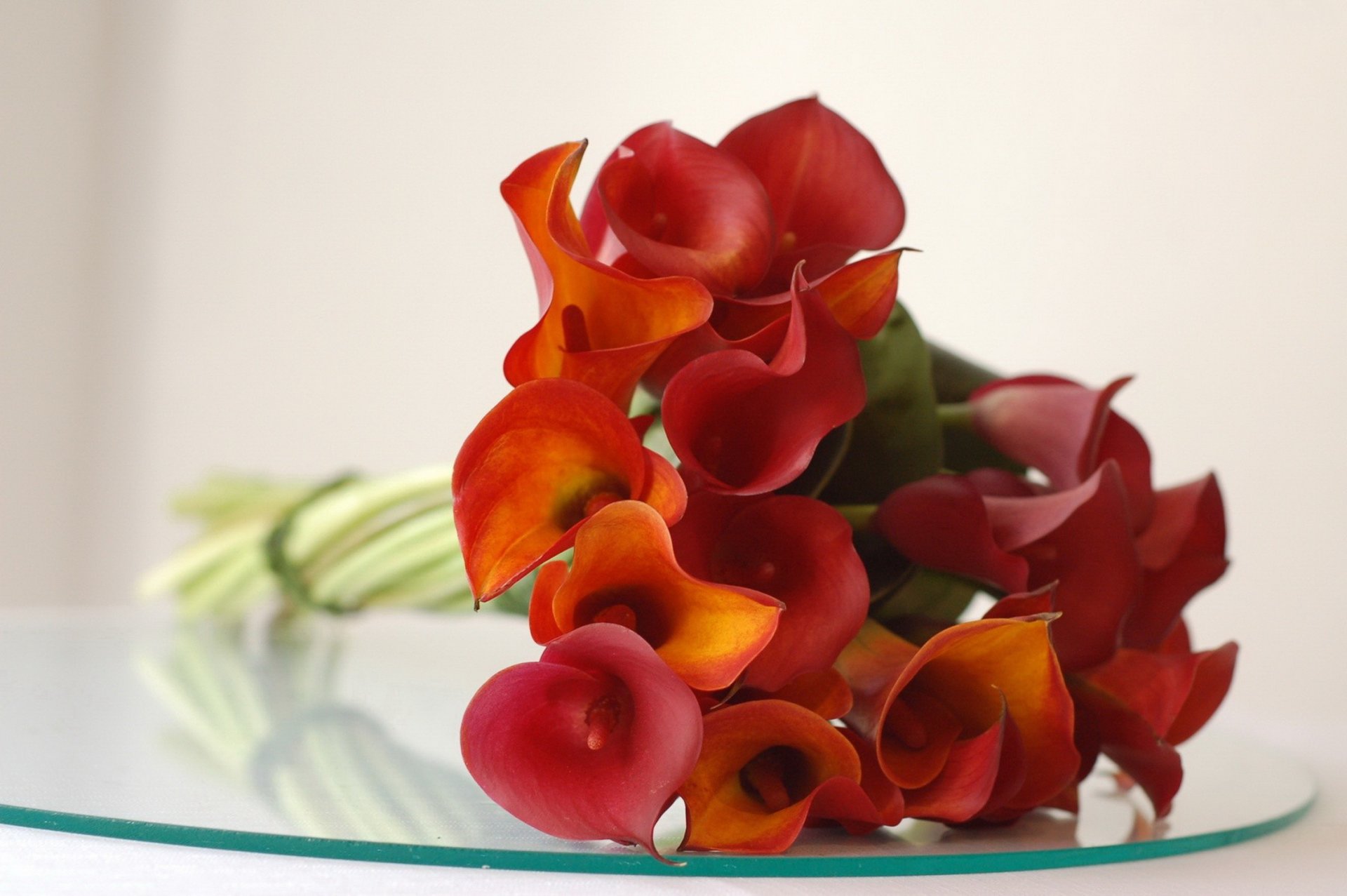 calla rosso bouquet petalo vetro riflessione
