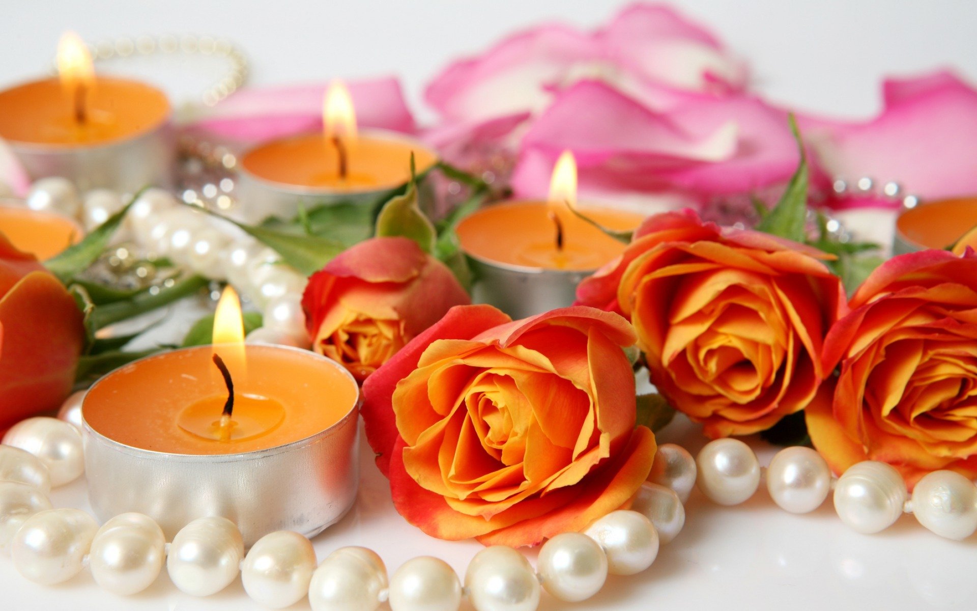 blumen rosen kerzen blütenblätter
