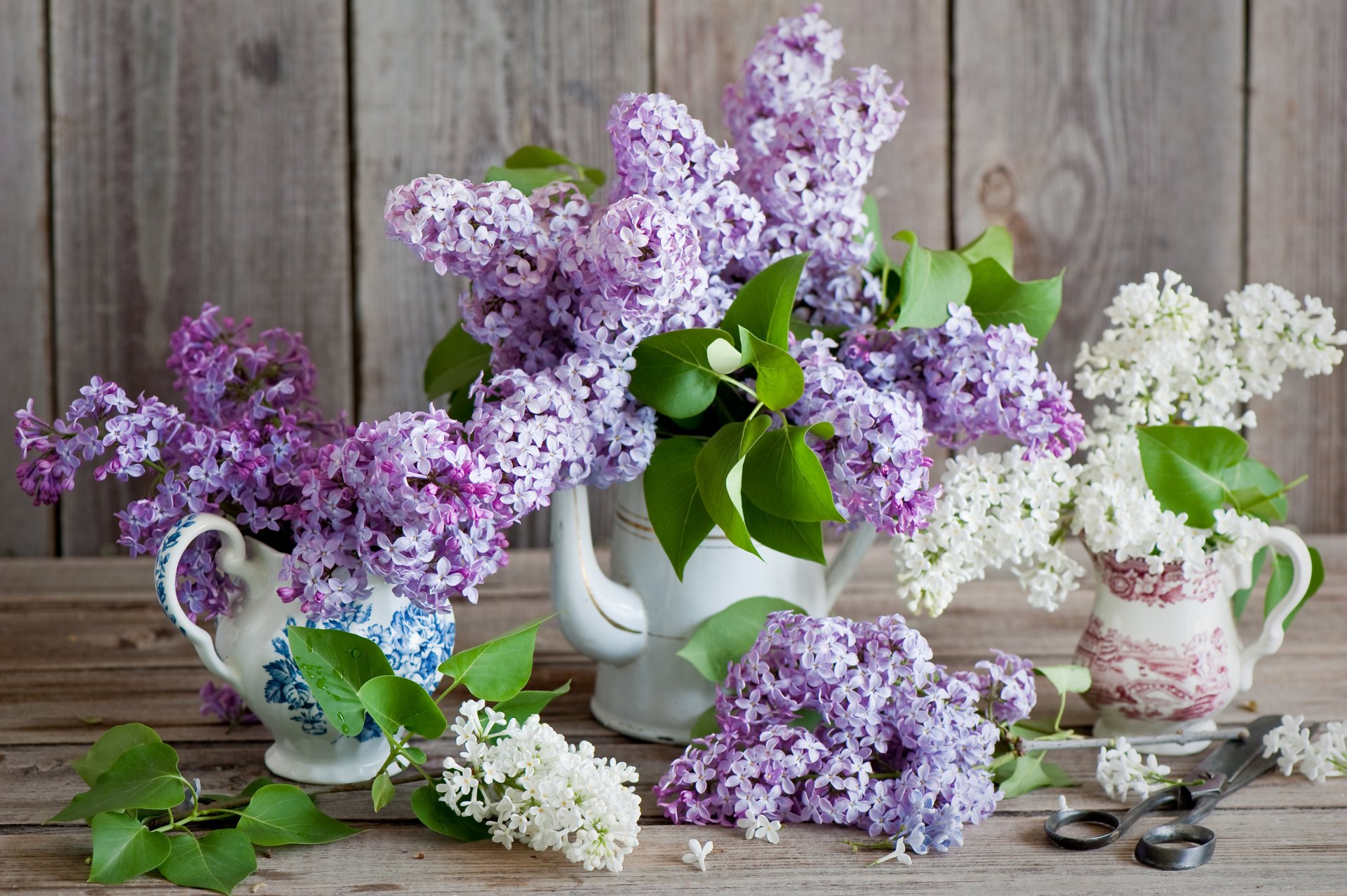 fleurs bouquet lilas