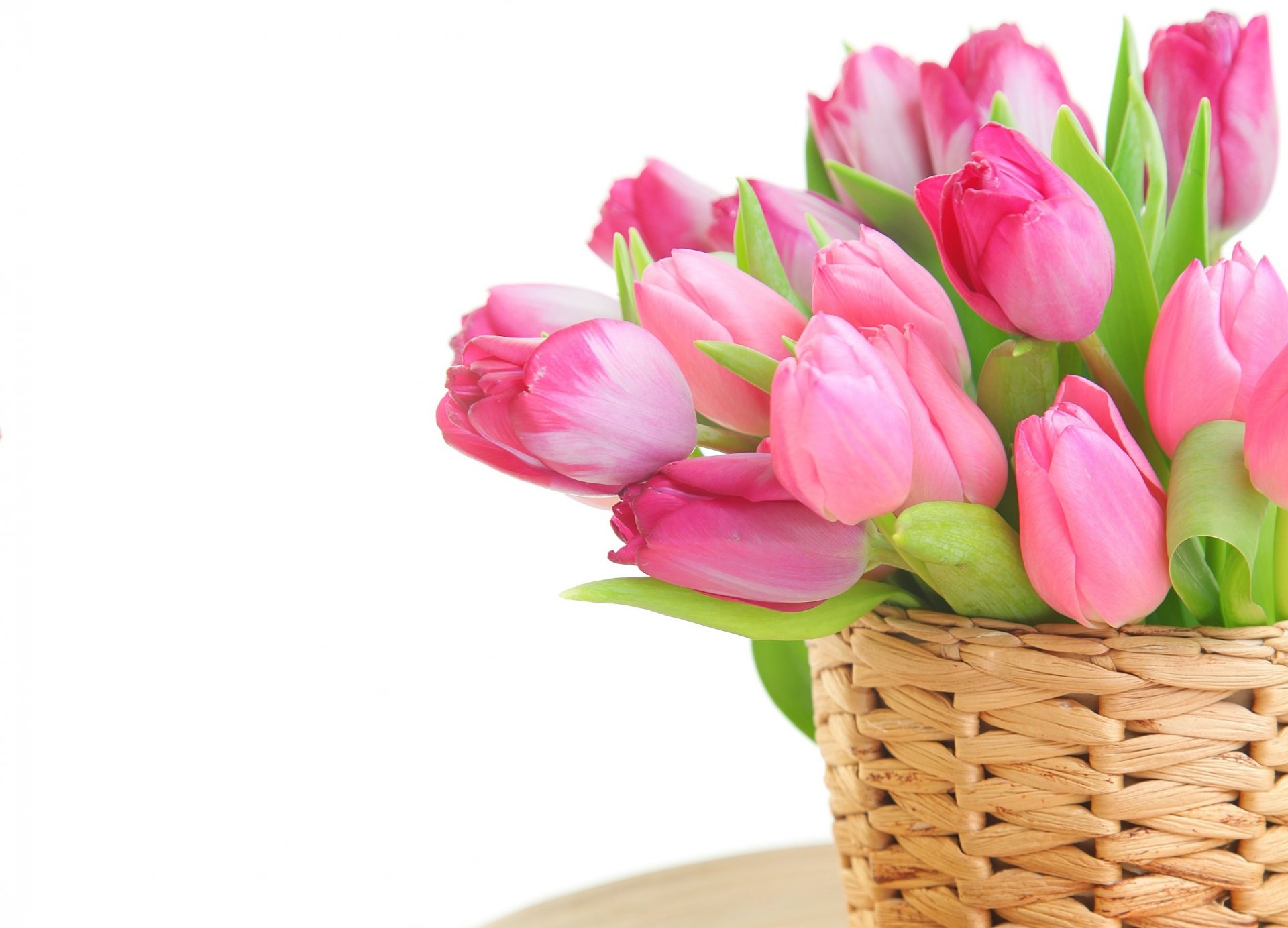 flower tulips easter egg