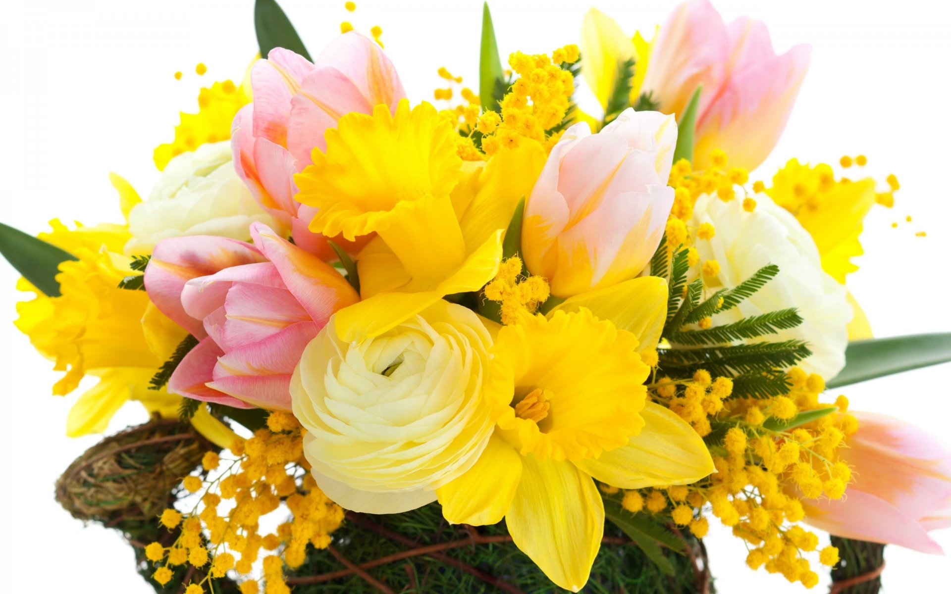 tulipanes flores brillante rosa narciso amarillo mimosa ramo pétalos rosa narcisos hojas belleza