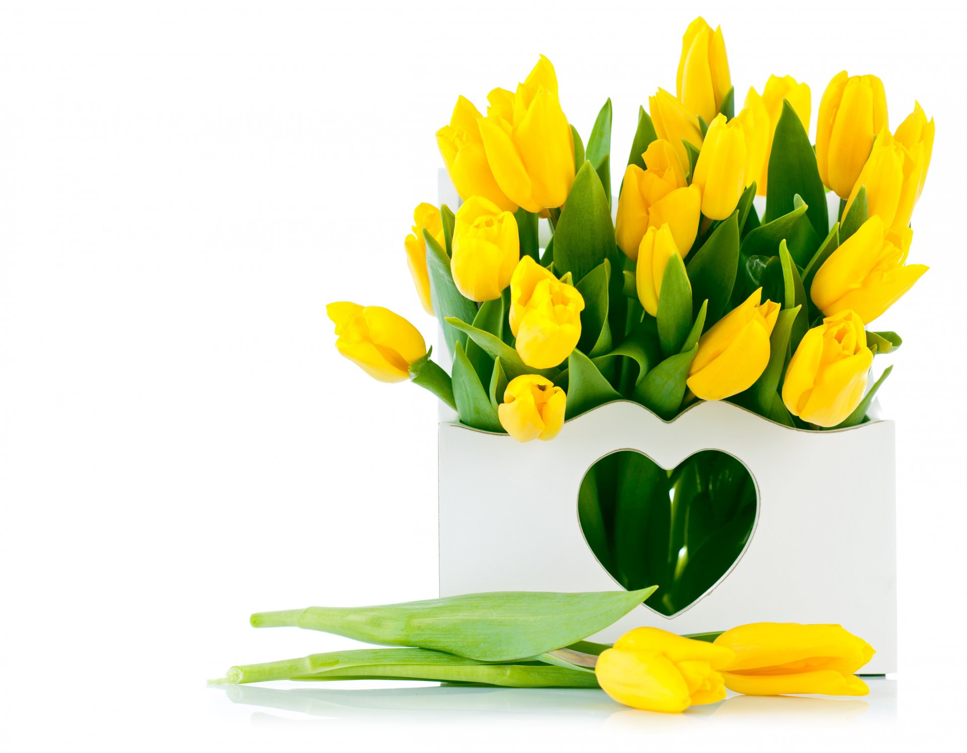 blumen tulpen gelbe tulpen blumenstrauß