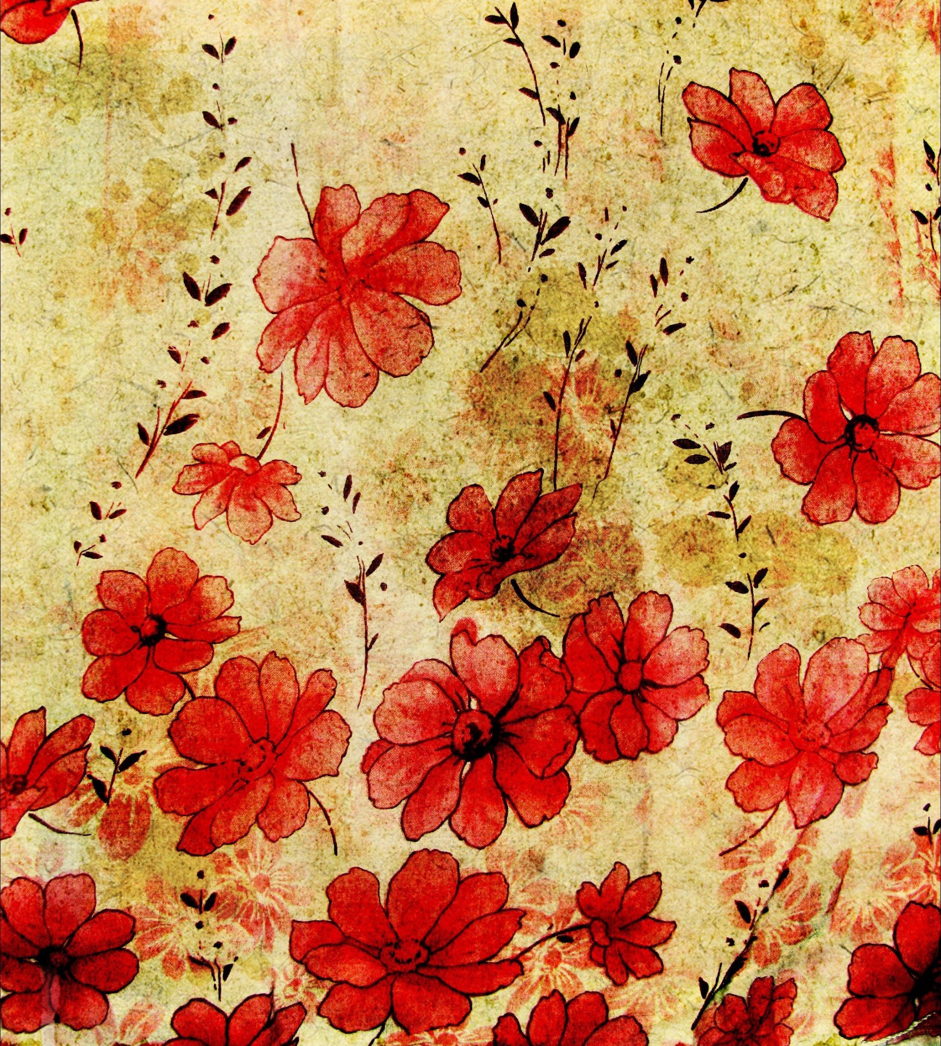 poppies picture sepia