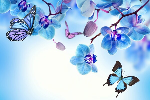 Orchidea con bellissime farfalle blu