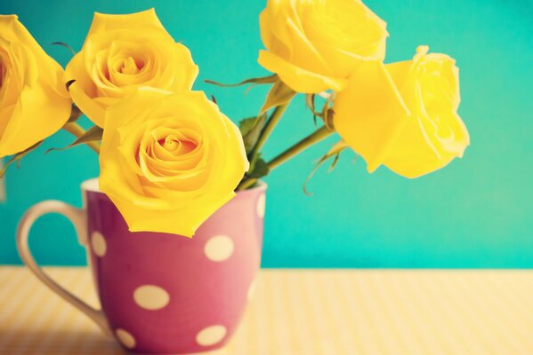 Gelbe Rosen stehen in einer Vase