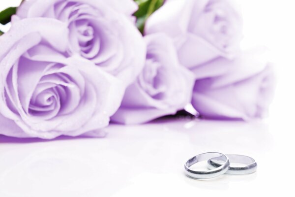 Dwa Obrączki ślubne na tle liliowych róż