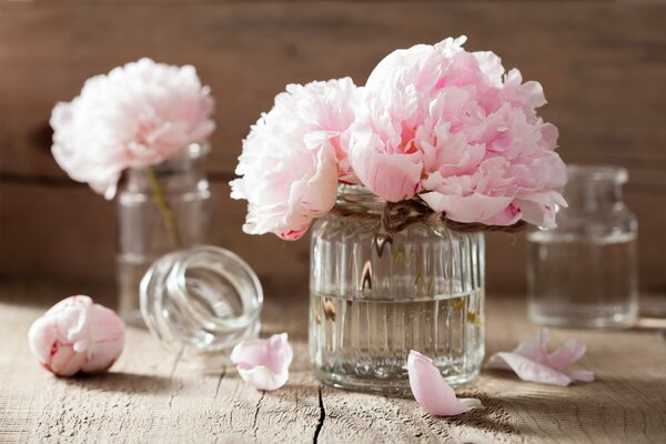 Peony-shaped roses in transparent jars