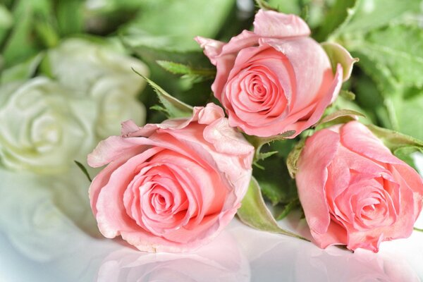 Bouquet de trois roses roses