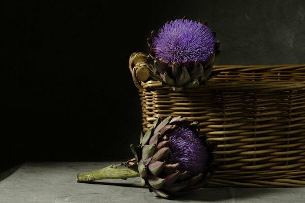 Schönes Bild mit Artischockenblüten