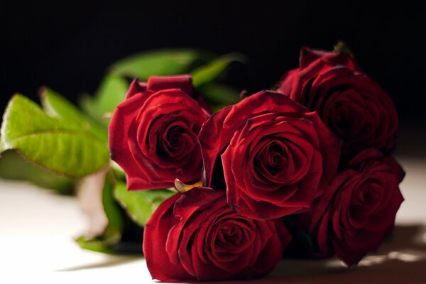 Ein schöner Blumenstrauß aus roten Rosen