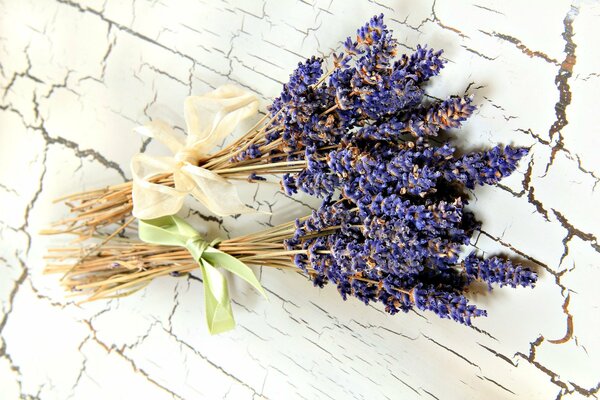 Lavendelblumen in blauer Farbe köstlicher Geruch