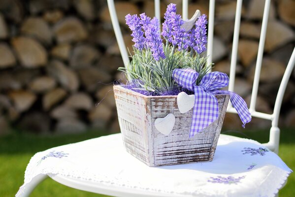 Ein Topf mit Lavendel, der auf einem schneeweißen Stuhl mit einem Band steht