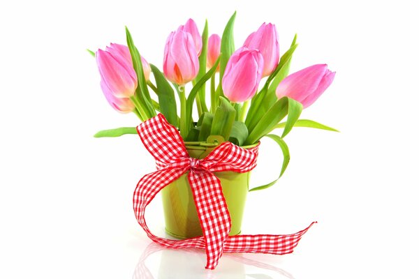 Pink tulips in a bucket with a ribbon