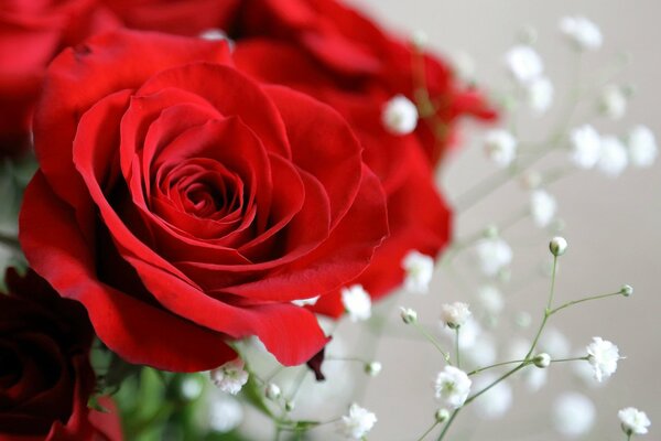 Partie d un bouquet de mariage de roses